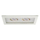 WAC Lighting - Low Voltage Multiple Two Light Trim with LED Bulb - Lights Canada