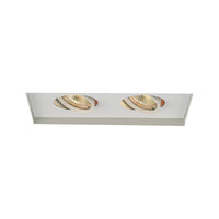 Low Voltage Multiple Two Light Invisible Trim