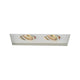 WAC Lighting - Low Voltage Multiple Two Light Invisible Trim - Lights Canada