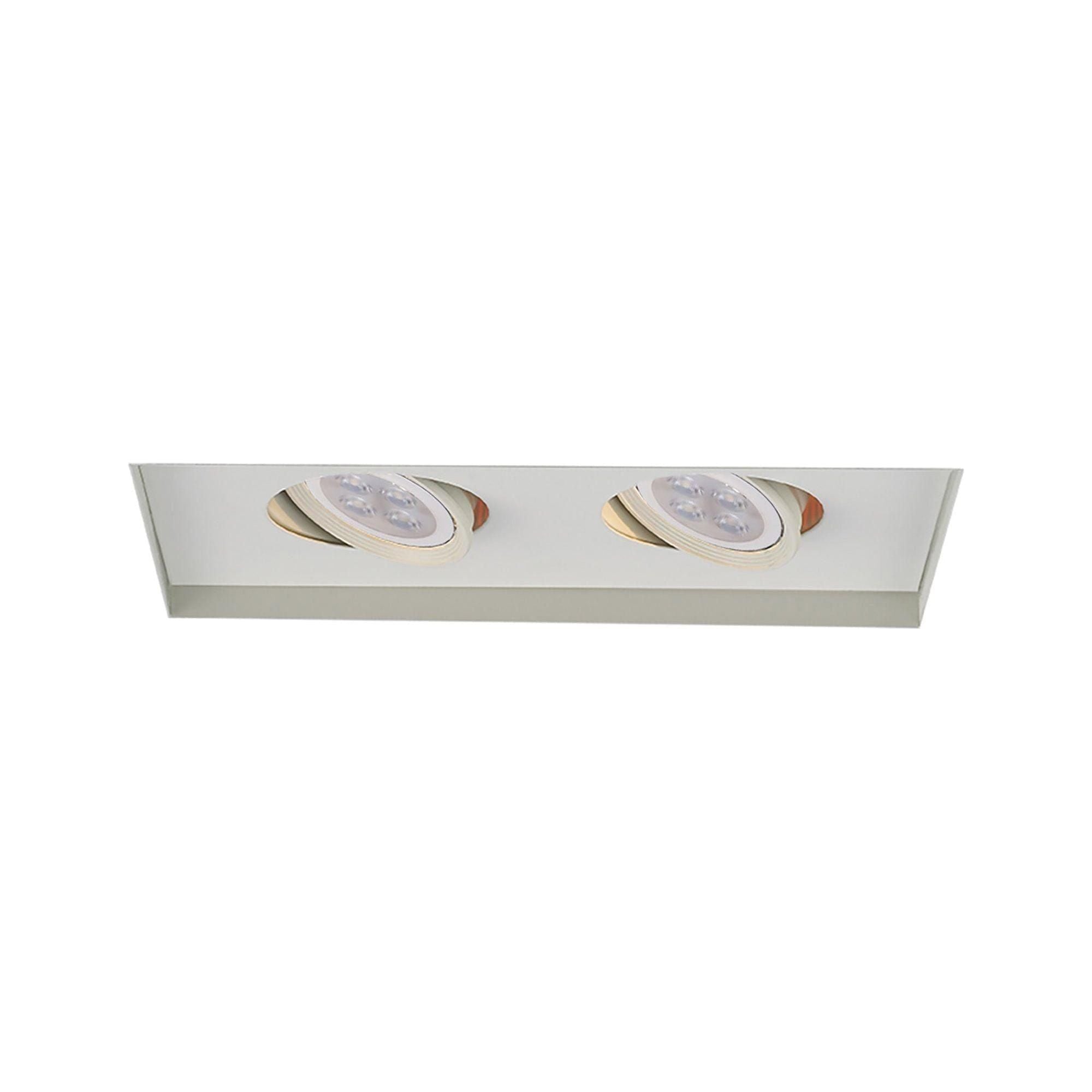 WAC Lighting - Low Voltage Multiple Two Light Invisible Trim with LED Bulb - Lights Canada