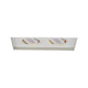 WAC Lighting - Low Voltage Multiple Two Light Invisible Trim with LED Bulb - Lights Canada