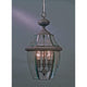 Quoizel - Newbury Outdoor Pendant - Lights Canada