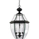 Quoizel - Newbury Outdoor Pendant - Lights Canada