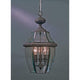 Quoizel - Newbury Outdoor Pendant - Lights Canada
