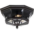 Quoizel - Newbury Outdoor Ceiling Light - Lights Canada