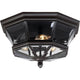 Quoizel - Newbury Outdoor Ceiling Light - Lights Canada