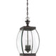 Quoizel - Oasis Mini Pendant - Lights Canada