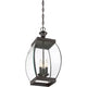 Quoizel - Oasis Mini Pendant - Lights Canada