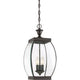 Quoizel - Oasis Mini Pendant - Lights Canada