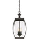 Quoizel - Oasis Outdoor Pendant - Lights Canada