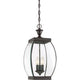 Quoizel - Oasis Outdoor Pendant - Lights Canada
