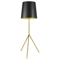 Tripod Floor Lamp (Decorative)