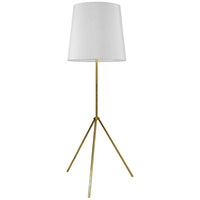 Tripod Floor Lamp (Decorative)