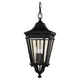 Generation Lighting - Cotswold Lane Outdoor Pendant - Lights Canada