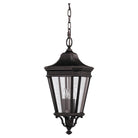 Generation Lighting - Cotswold Lane Outdoor Pendant - Lights Canada