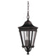 Generation Lighting - Cotswold Lane Outdoor Pendant - Lights Canada