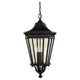 Generation Lighting - Cotswold Lane Outdoor Pendant - Lights Canada