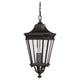 Generation Lighting - Cotswold Lane Outdoor Pendant - Lights Canada