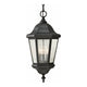 Generation Lighting - Martinsville 3-Light Outdoor Pendant (with Bulbs) - Lights Canada