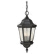 Generation Lighting - Martinsville Outdoor Pendant - Lights Canada
