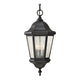 Generation Lighting - Martinsville Outdoor Pendant - Lights Canada