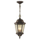 Generation Lighting - Martinsville Outdoor Pendant - Lights Canada