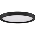 Quoizel - Outskirts Flush Mount - Lights Canada