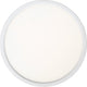 Quoizel - Outskirts Flush Mount - Lights Canada