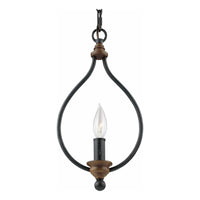 Hartsville 1-Light Mini Pendant (with Bulb)