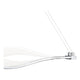 Quoizel - Saratoga Chandelier - Lights Canada
