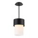 dweLED - Napa 8.9" LED Pendant - Lights Canada