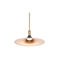 Cochere 18" LED Pendant