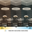 Artika - Artika Famous Pendant - Lights Canada