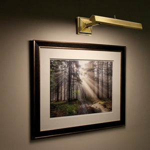 dweLED - Hemmingway 10.1" LED Picture Light - Lights Canada