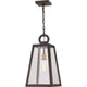 Quoizel - Poplar Point Mini Pendant - Lights Canada