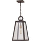 Quoizel - Poplar Point Mini Pendant - Lights Canada
