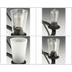 Progress Lighting - Debut Chandelier - Lights Canada