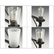 Progress Lighting - Debut Chandelier - Lights Canada