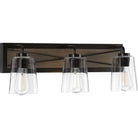 Progress Lighting - Briarwood Vanity Light - Lights Canada