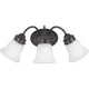 Progress Lighting - Fluted Glass Vanity Light - Lights Canada