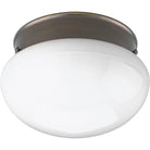 Progress Lighting - Fitter Flush Mount - Lights Canada