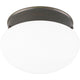 Progress Lighting - Fitter Flush Mount - Lights Canada