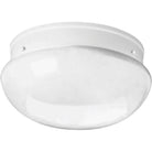 Progress Lighting - Fitter Flush Mount - Lights Canada