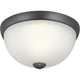 Progress Lighting - Glass Domes Flush Mount - Lights Canada