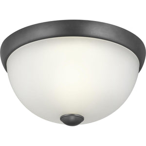 Progress Lighting - Glass Domes Flush Mount - Lights Canada