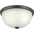 Progress Lighting - Glass Domes Flush Mount - Lights Canada