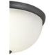 Progress Lighting - Glass Domes Flush Mount - Lights Canada