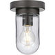 Progress Lighting - Signal Flush Mount - Lights Canada