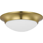 Progress Lighting - Etched Glass Close-To-Ceiling Flush Mount - Lights Canada