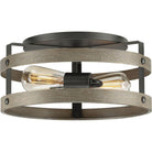 Progress Lighting - Gulliver Flush Mount - Lights Canada